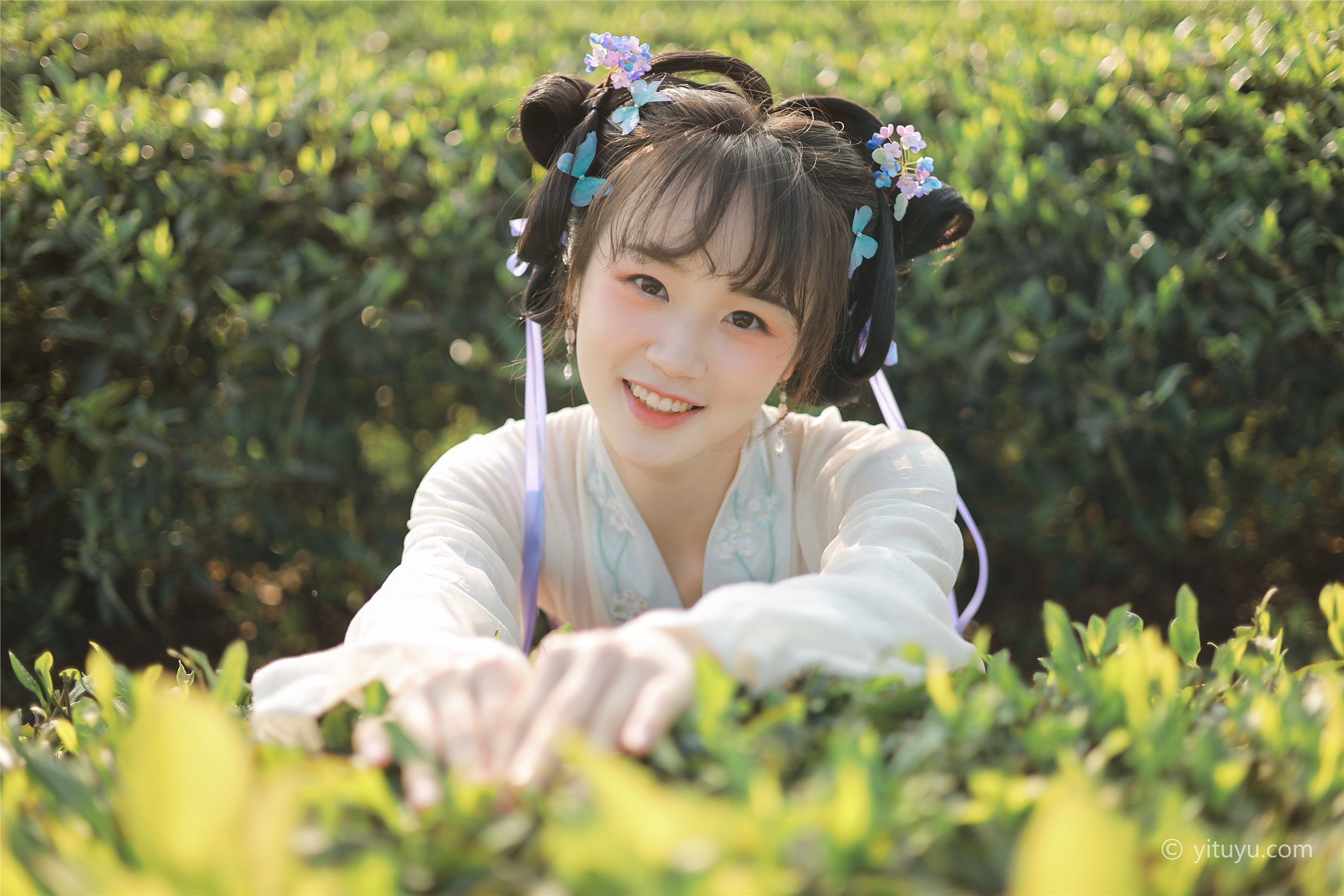 YITUYU艺图语  2021.06.02 青青白茶 柚子